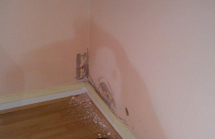 dampness in Walls